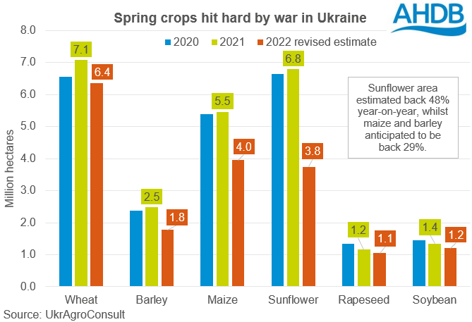 Ukrainian planted areas of key crops